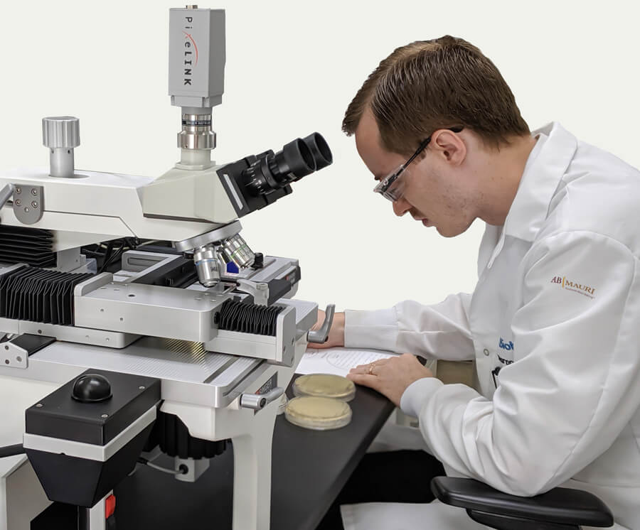 AB Biotek lab worker looking through a microscope