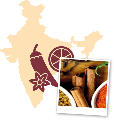 Cochin Spices