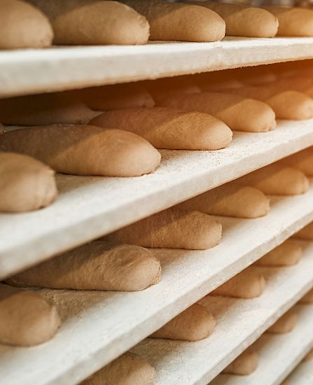 A selection of bread on a rack after being cooked